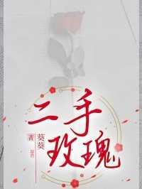 二手玫瑰仙儿歌词