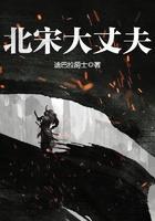 北宋大丈夫笔趣阁免费阅读